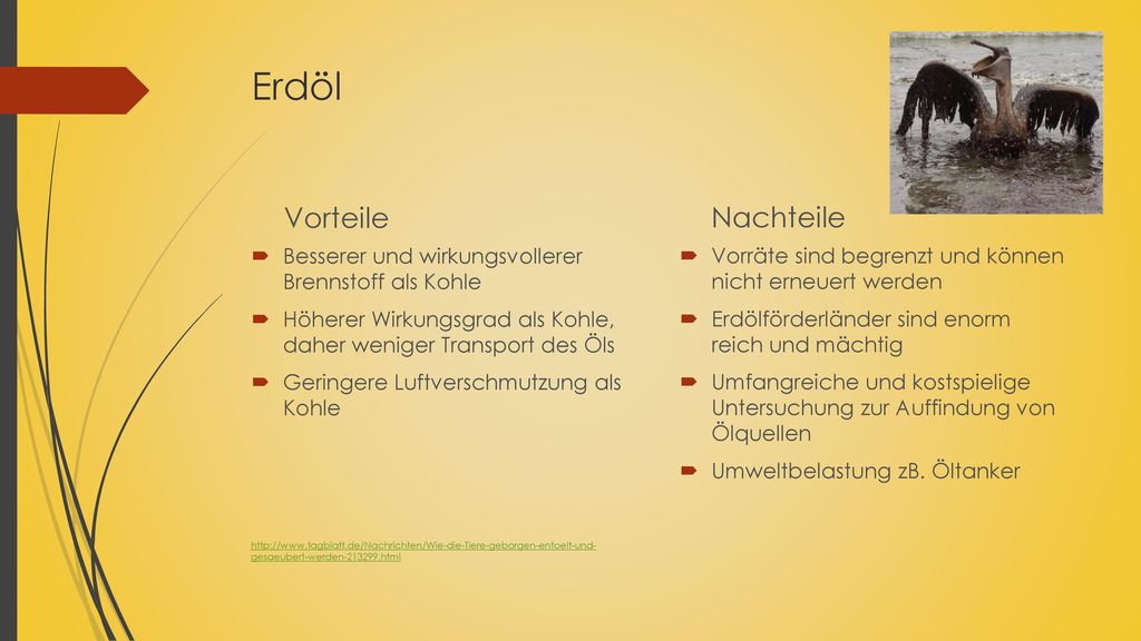 Der Schluck aus der Plastikflasche bekommt einen ganz üblen Nachgeschmack, wenn man sich die Fakten dazu auf der Zunge zergehen lässt. Achtung: Dieser Beitrag kann den dringenden Wunsch auslösen, zukünftig ganz auf PET zu verzichten!